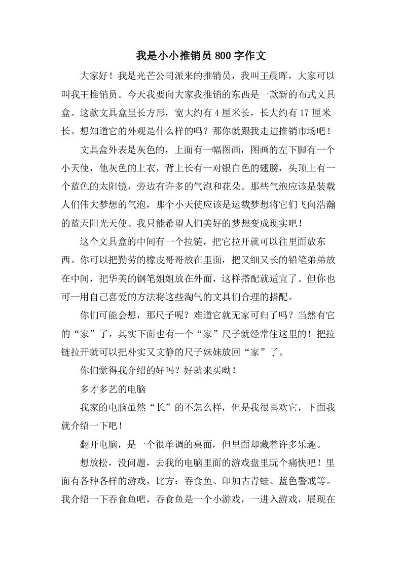 我是小小推销员800字作文