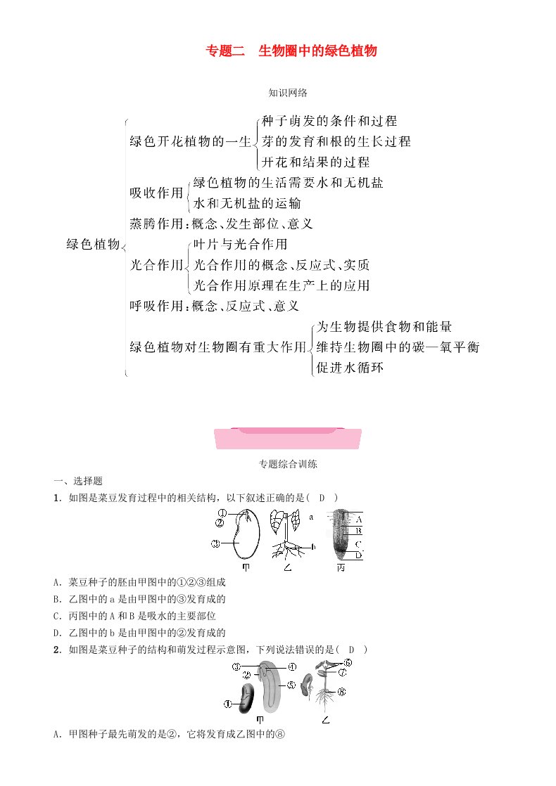 中考生物总复习