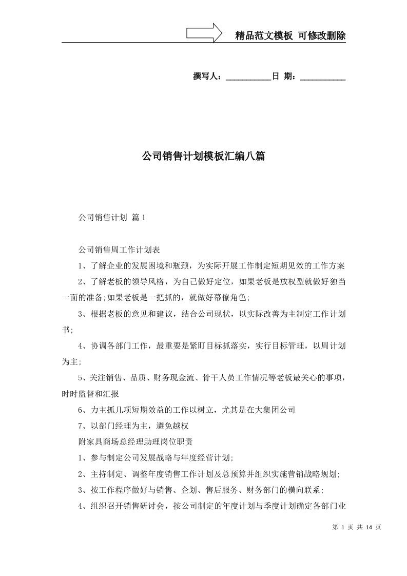 公司销售计划模板汇编八篇一