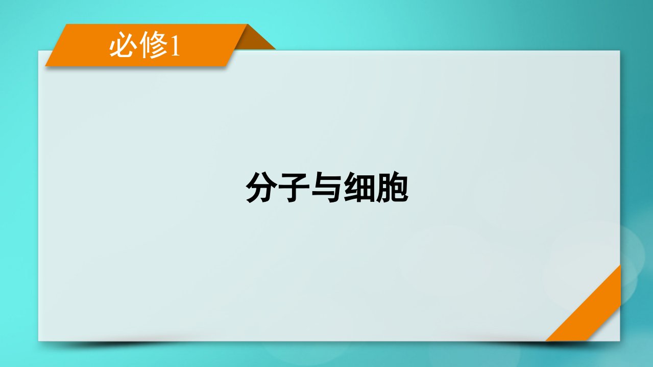 新高考适用2024版高考生物一轮总复习必修1分子与细胞第1单元走近细胞和组成细胞的分子第2讲细胞中的元素无机物糖类和脂质课件