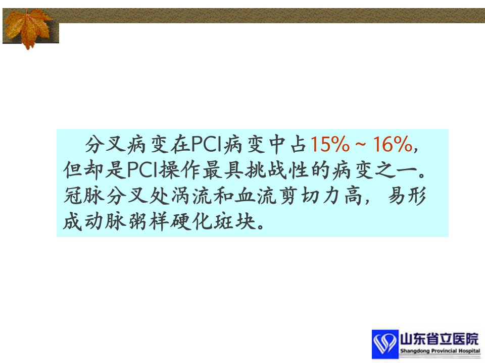 分叉病变的介入治疗33246教程文件