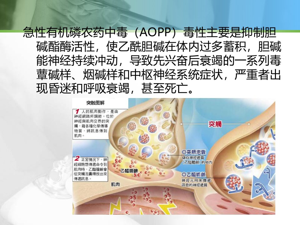 医学专题急性有机磷中毒孙跃喜