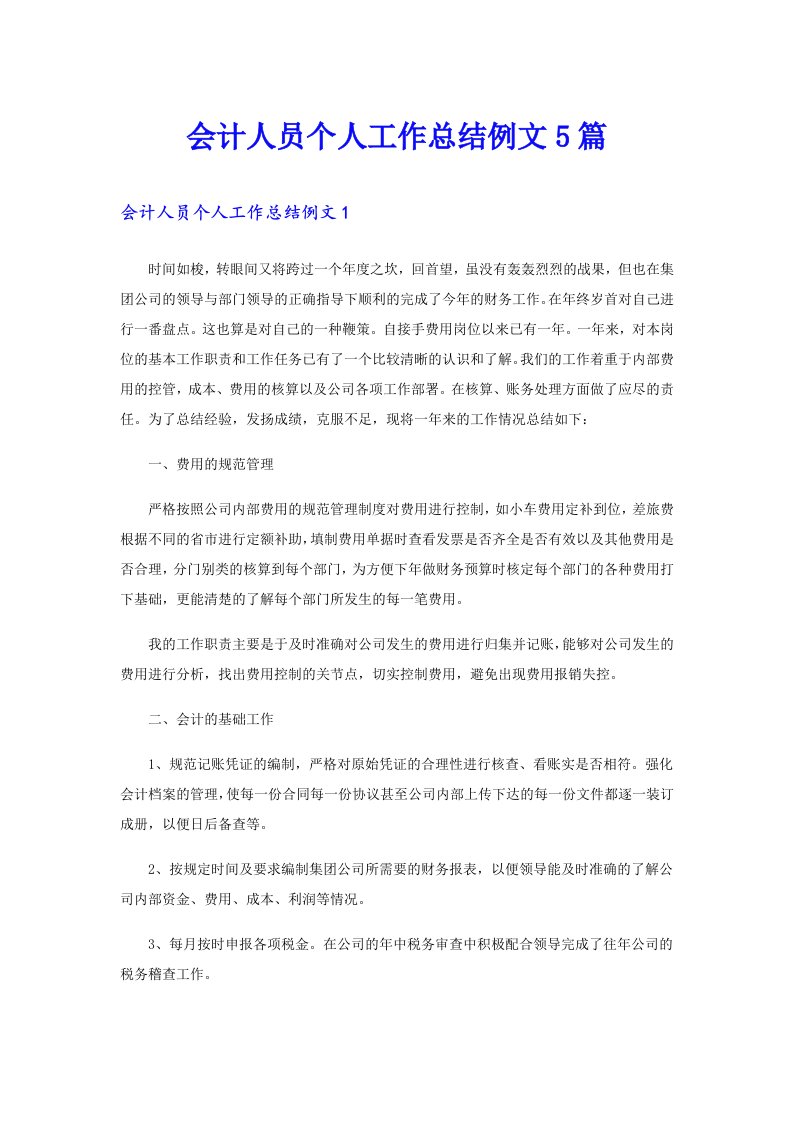 会计人员个人工作总结例文5篇