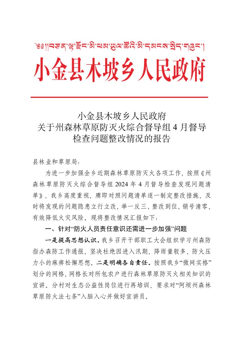 乡2024年4月州森林草原防灭火综合督导发现问题整改情况报告