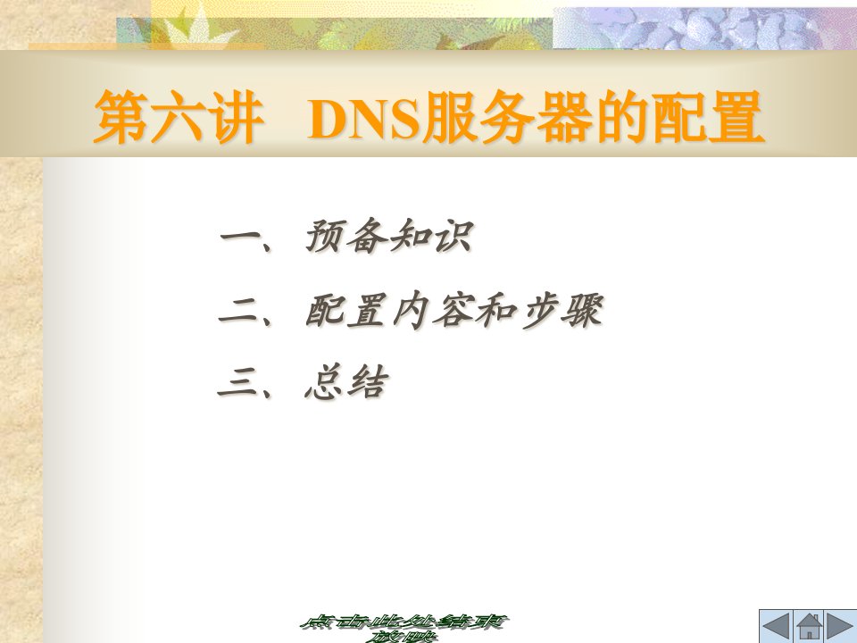 [精选]DNS服务器的配置