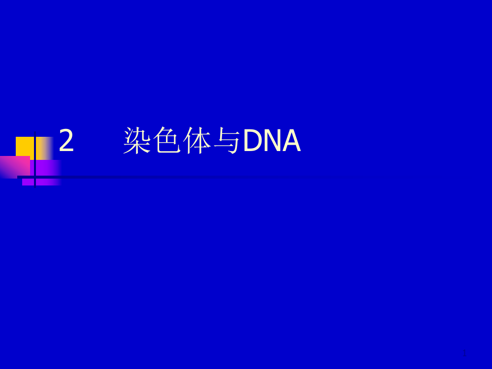 分子生物学本染色体与DNAppt课件