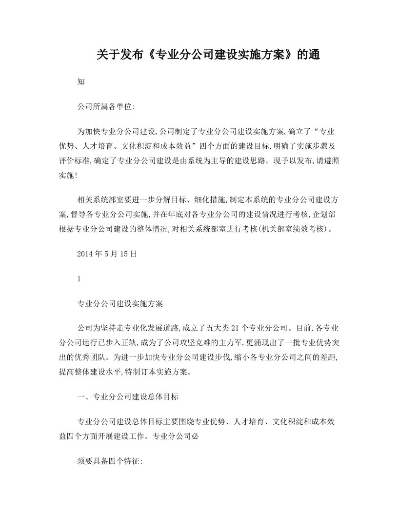 专业化分公司实施方案