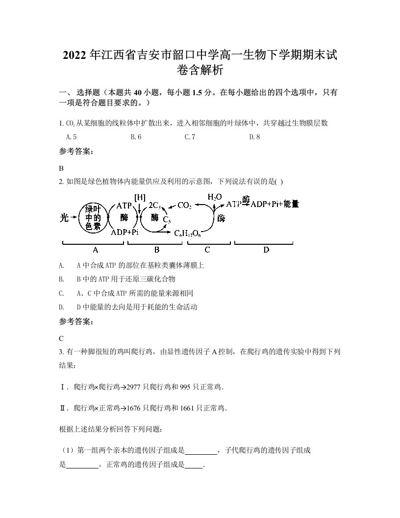 2022年江西省吉安市韶口中学高一生物下学期期末试卷含解析