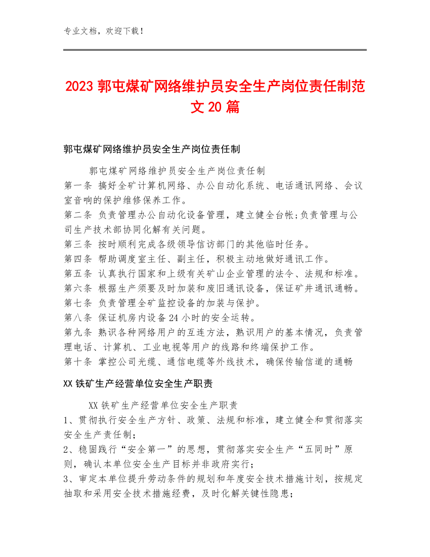 2023郭屯煤矿网络维护员安全生产岗位责任制范文20篇