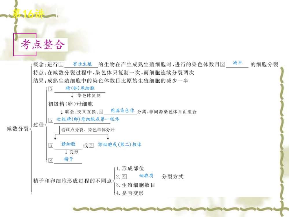 高考生物一轮复习广东专用第讲-减数分裂和受精作用