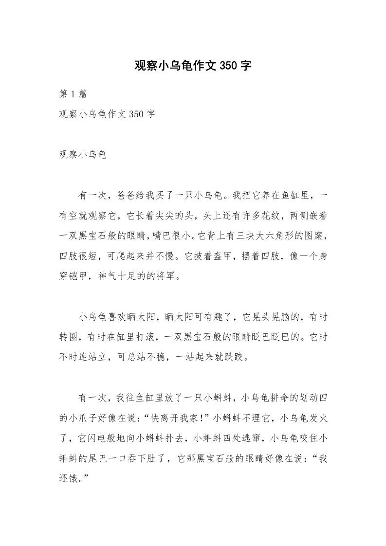 观察小乌龟作文350字