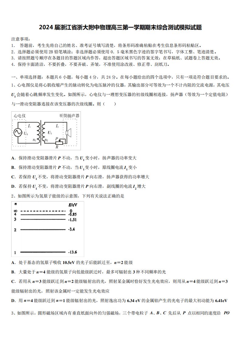 2024届浙江省浙大附中物理高三第一学期期末综合测试模拟试题含解析4626