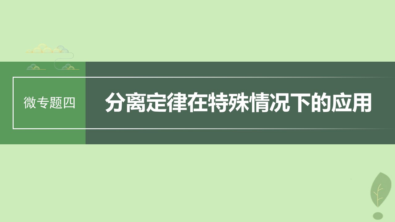 2024届高考生物一轮复习第五单元基因的传递规律微专题四分离定律在特殊情况下的应用课件苏教版