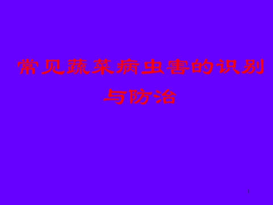 常见蔬菜病虫害的识别与防治ppt课件