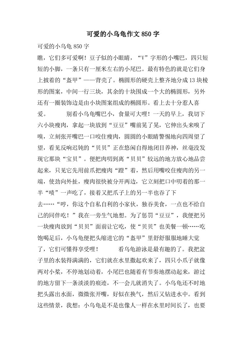 可爱的小乌龟作文850字