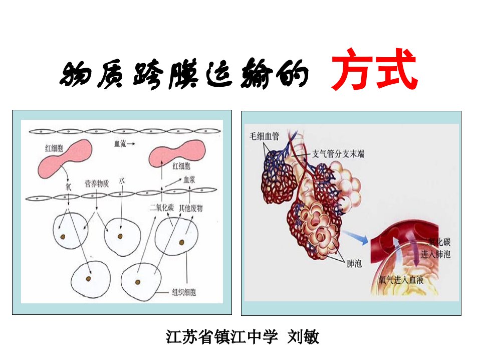 物质的跨膜运输方式