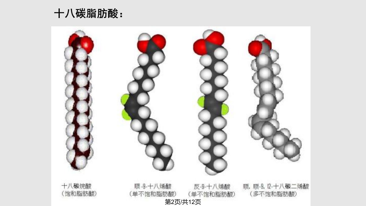 顺式与反式脂肪酸