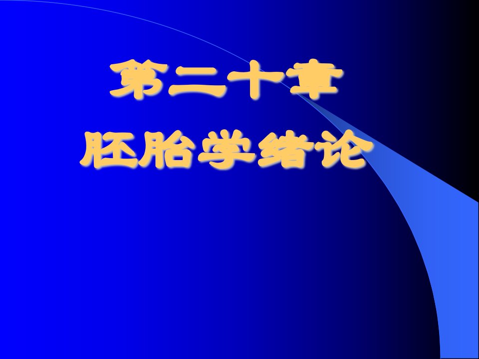 组织胚胎学教案课件(6)