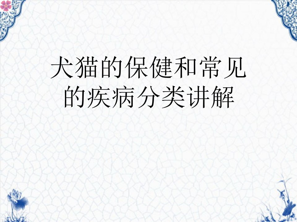 犬猫的保健和常见的疾病分类讲解