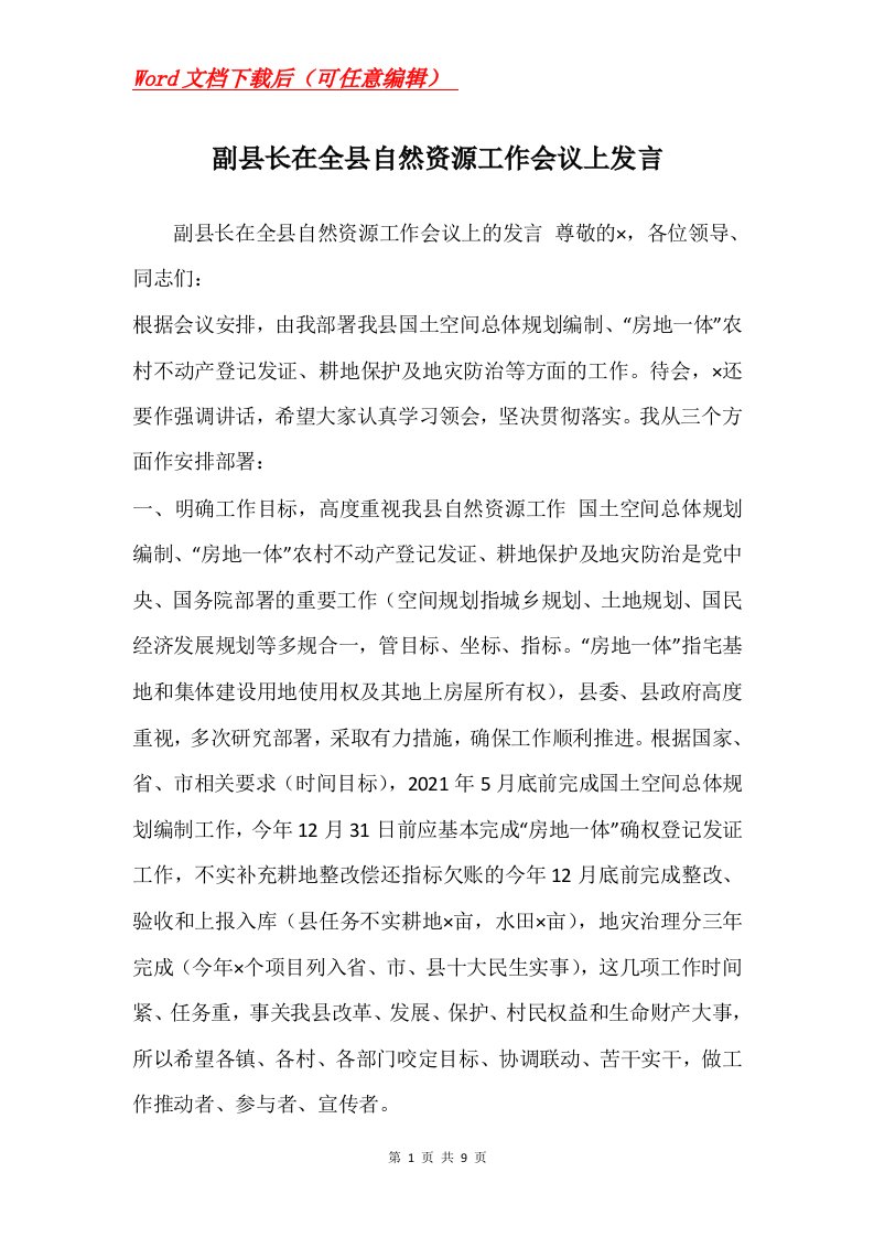 副县长在全县自然资源工作会议上发言