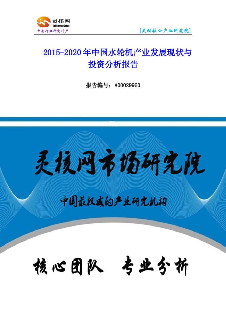 中国水轮机行业市场分析与发展趋势研究报告-灵核网