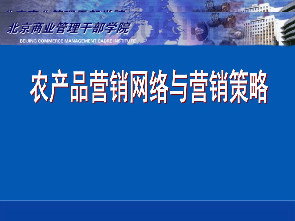 农产品营销网络与营销策略