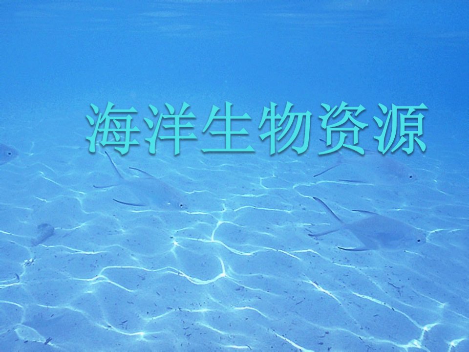 海洋生物资源ppt课件