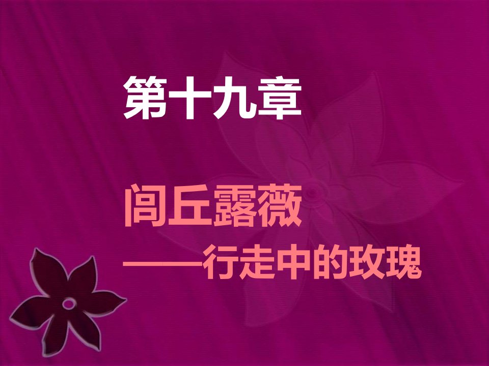 第十九章行走中的玫瑰闾丘露薇-课件（PPT·精·选）