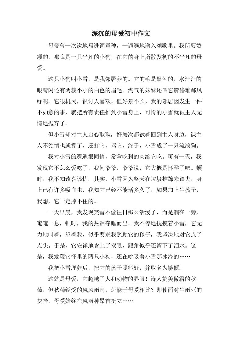 深沉的母爱初中作文