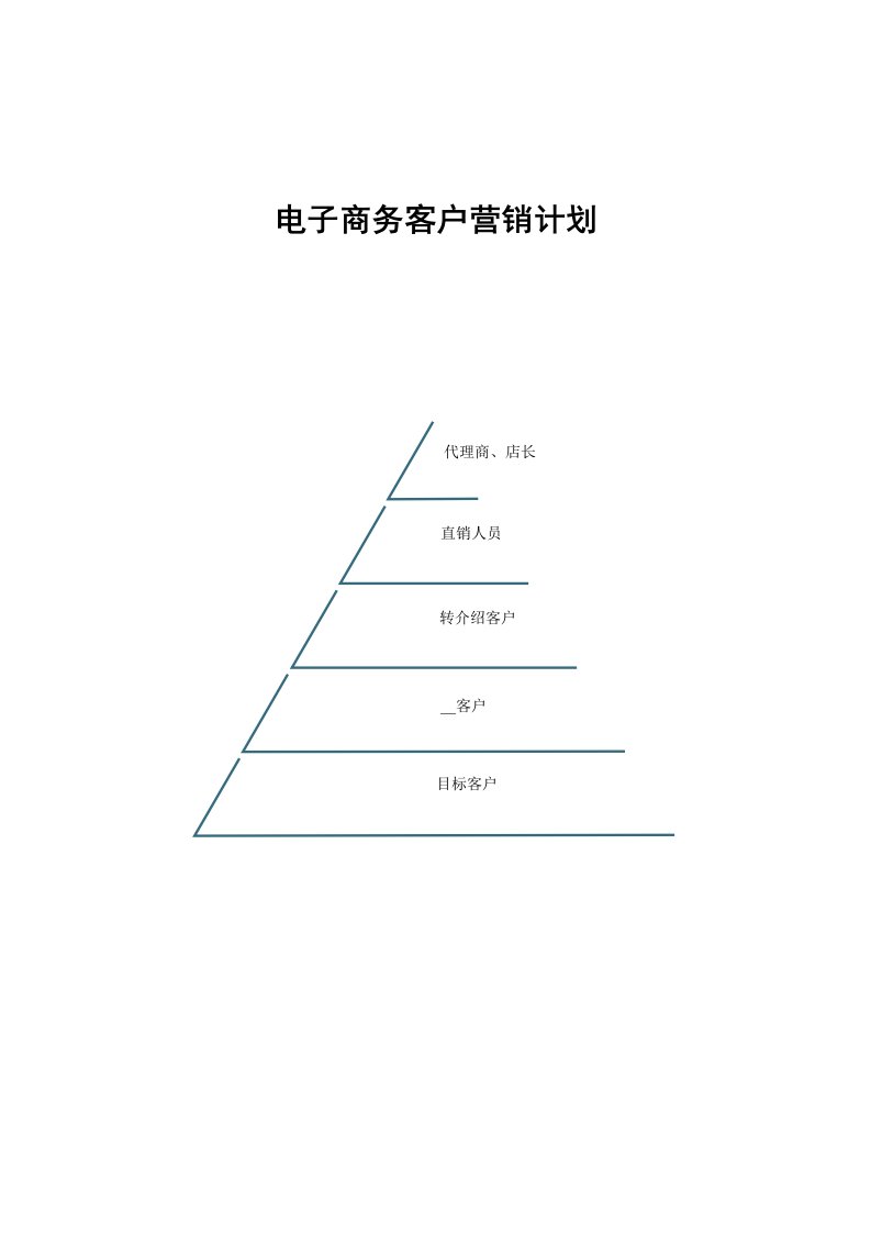 电子商务客户营销计划