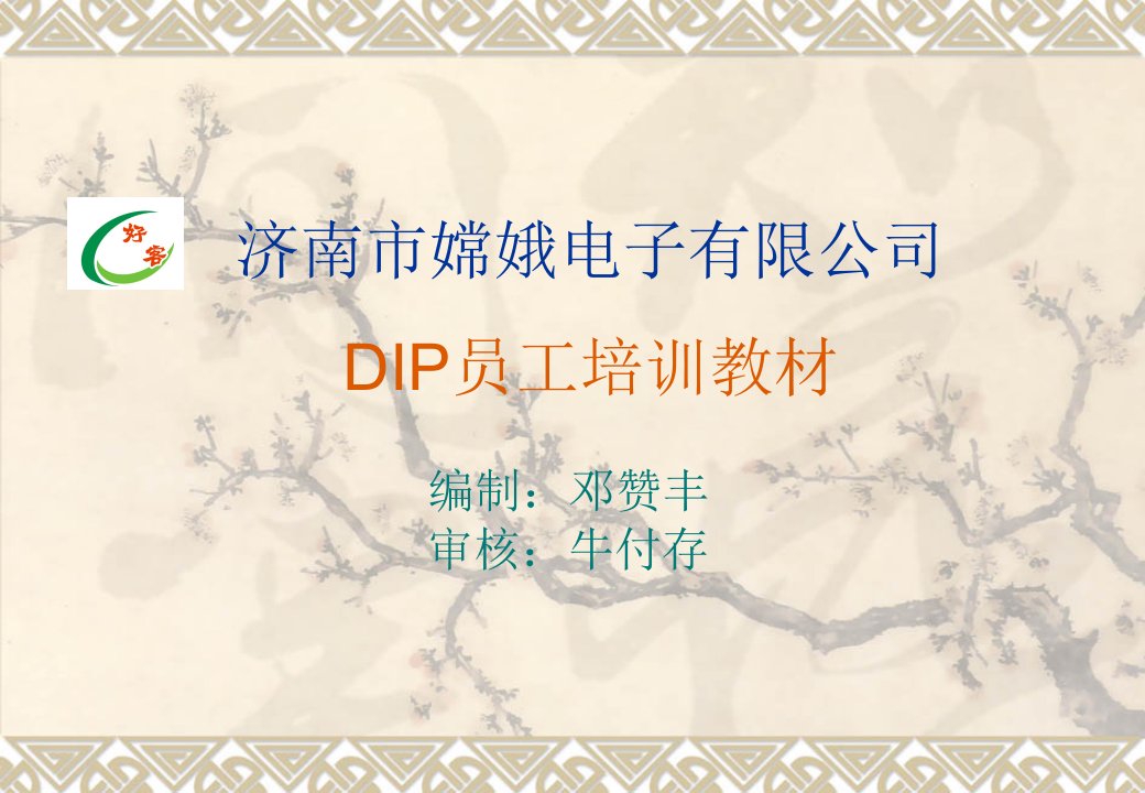 最完整DIP员工培训教材