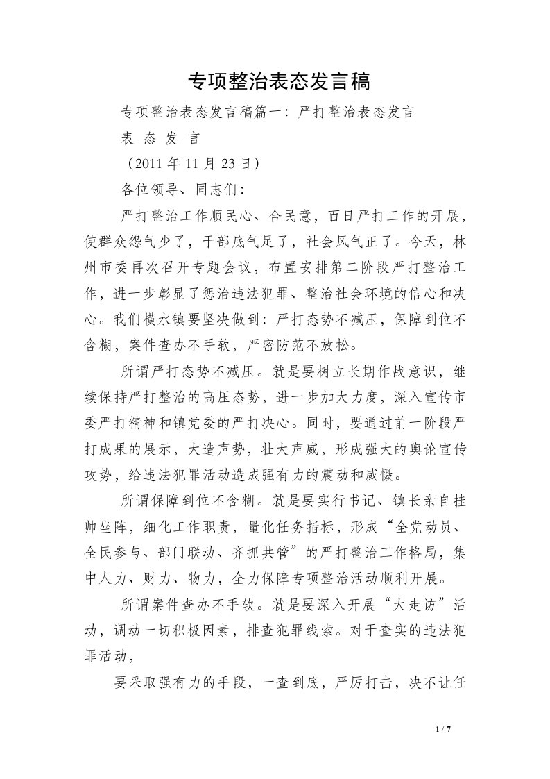 专项整治表态发言稿