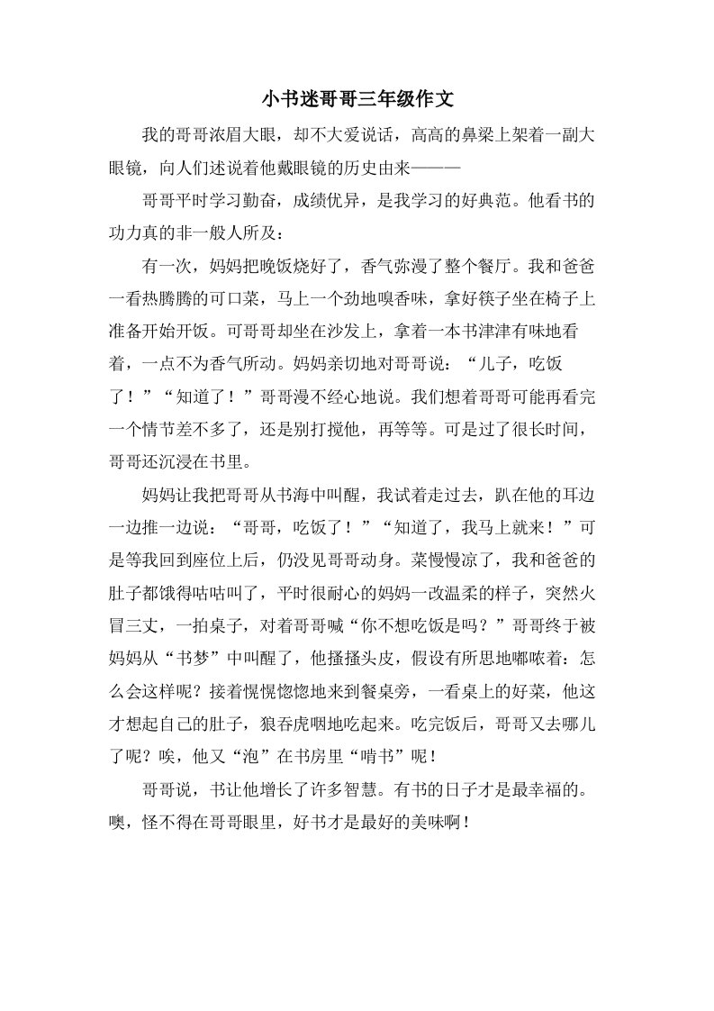 小书迷哥哥三年级作文