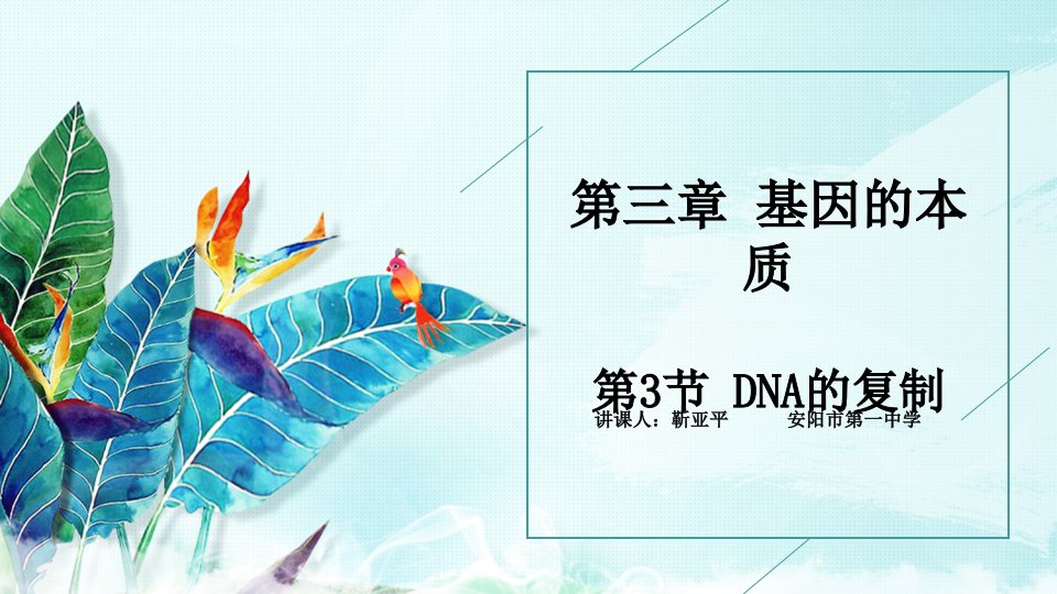 DNA的复制说课-靳亚平ppt课件