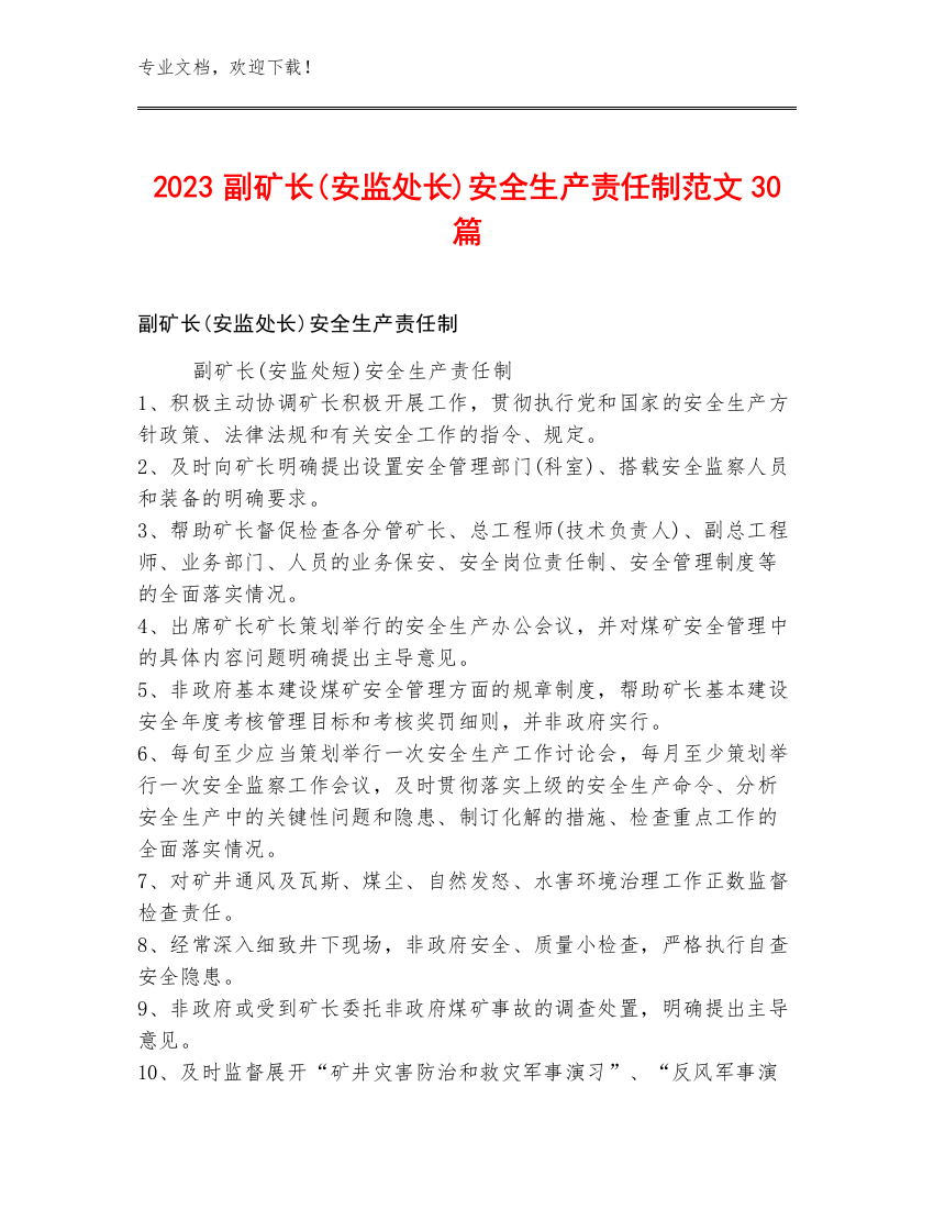 2023副矿长(安监处长)安全生产责任制范文30篇