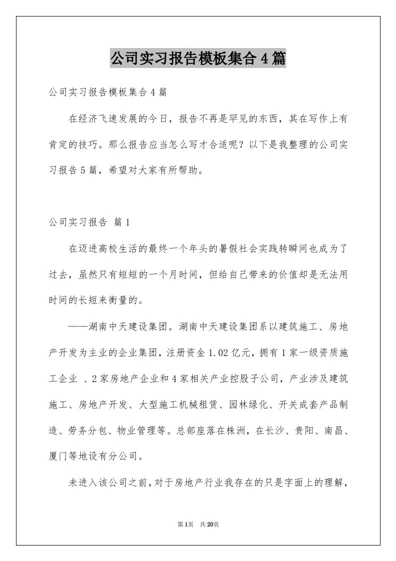 公司实习报告模板集合4篇