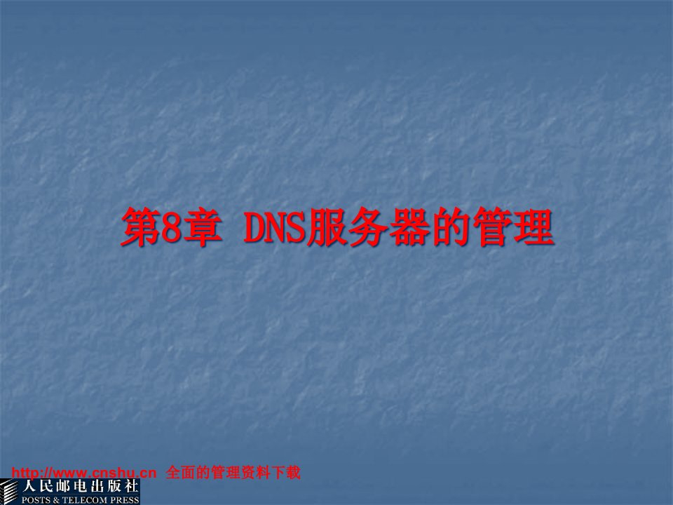 [精选]信息技术--Internet知识-DNS服务器的管理