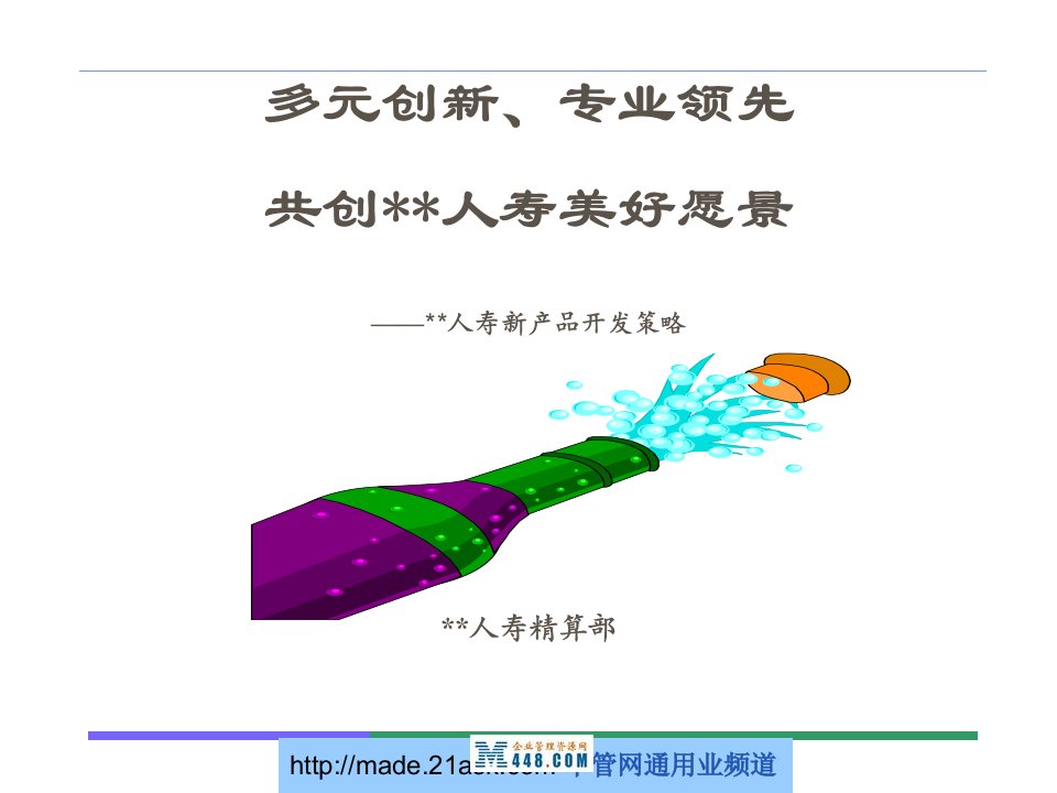 某人寿公司新产品开发策略(22页)-保险综合