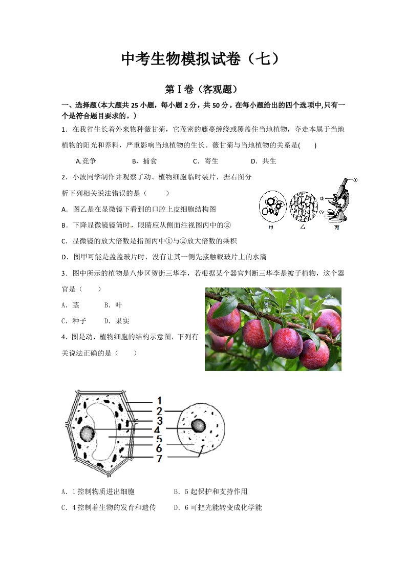 中考生物模拟试卷(七)