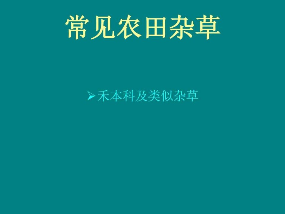 常见农田杂草.ppt