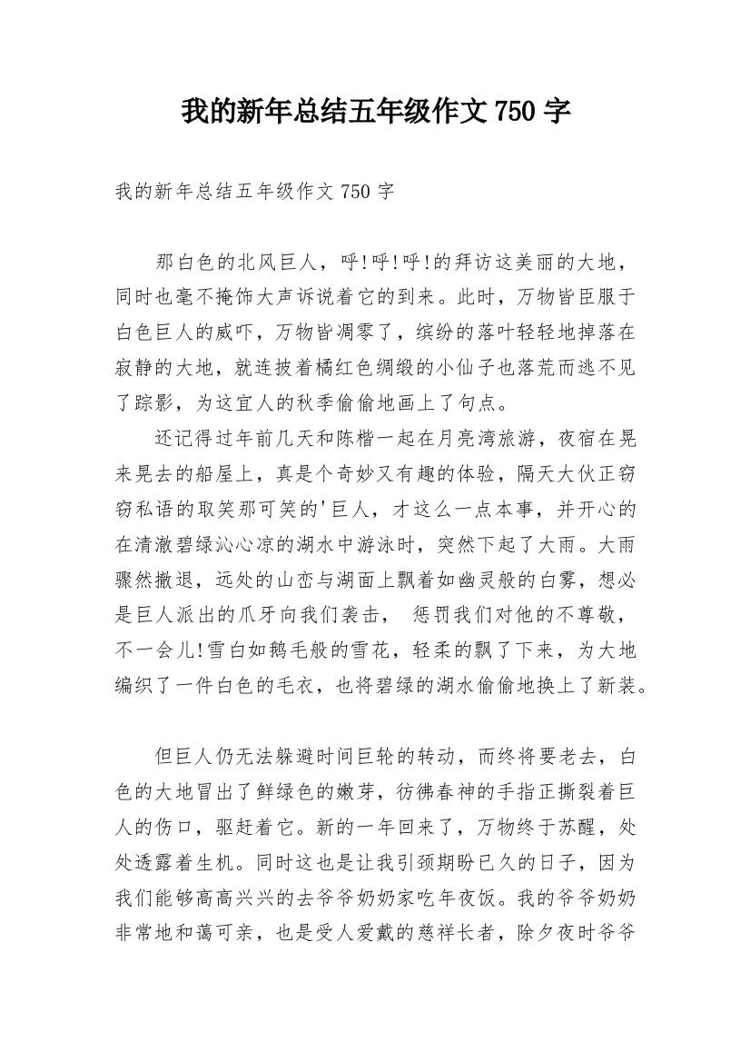 我的新年总结五年级作文750字