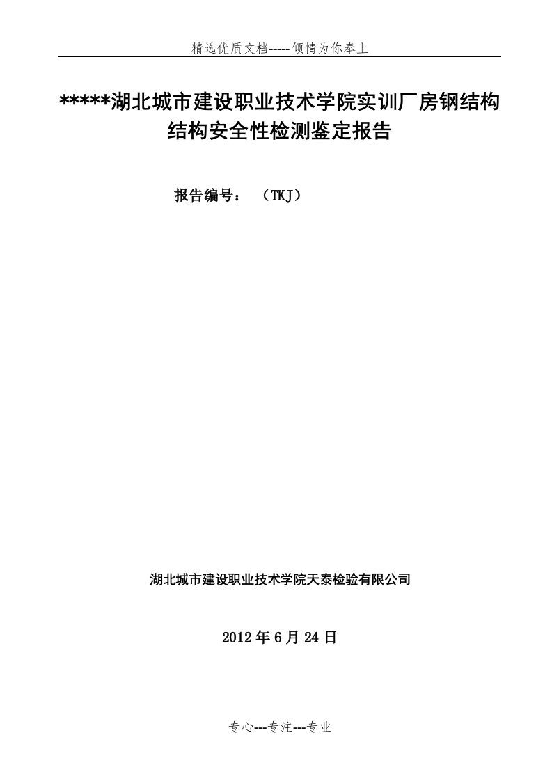 钢结构检测报告样本(共16页)