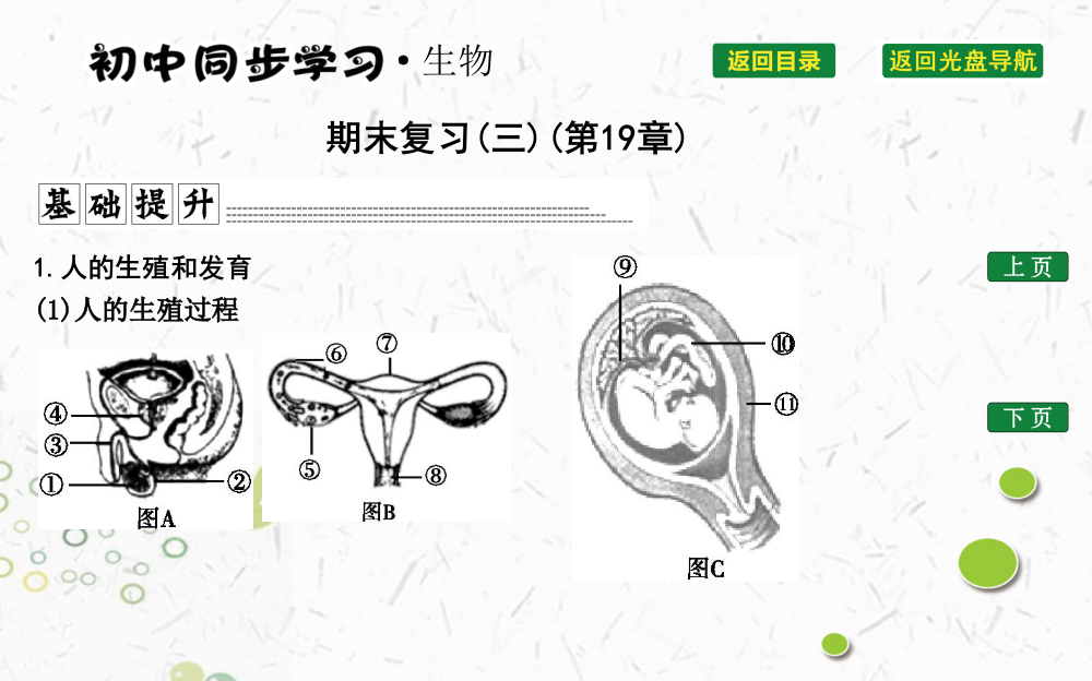 期末复习(三)(第19章)