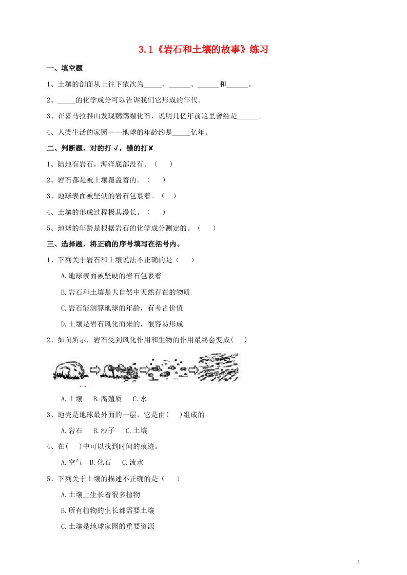 2023四年级科学下册岩石与土壤3.1岩石和土壤的故事练习教科版