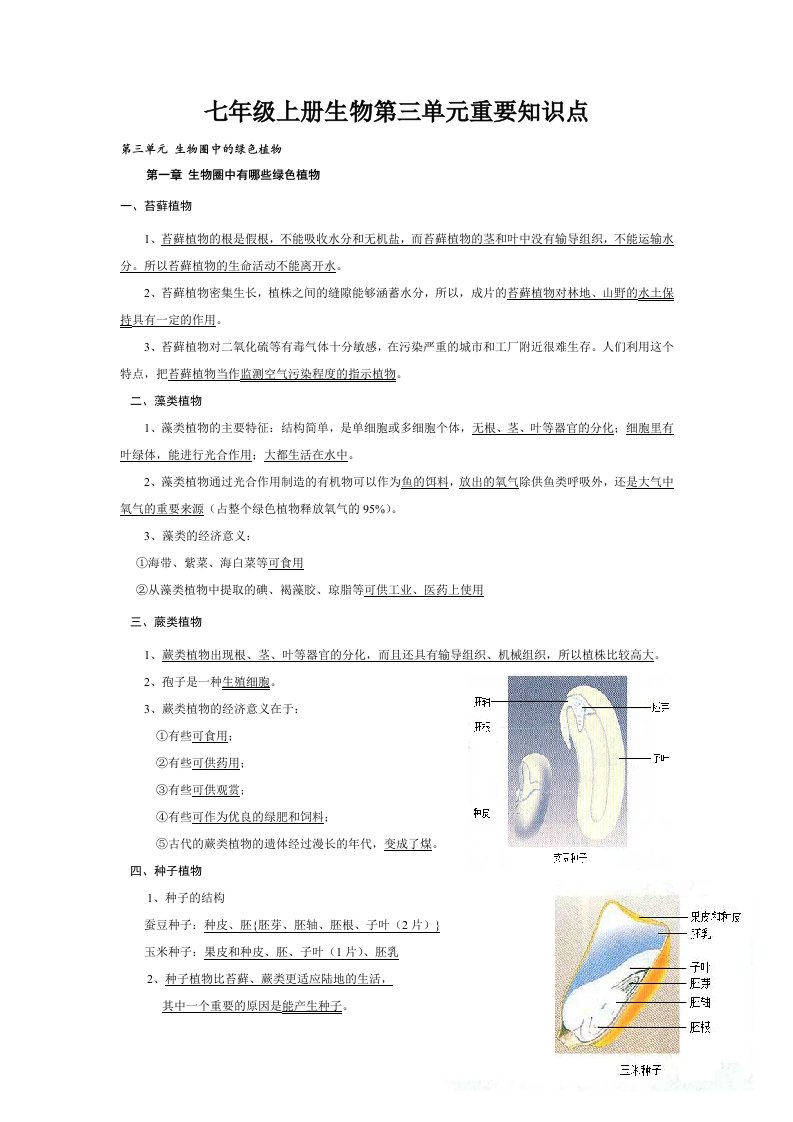 七年级上册生物第三单元重要知识点