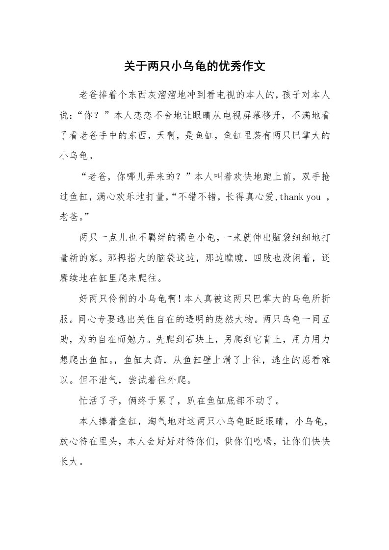 关于两只小乌龟的优秀作文