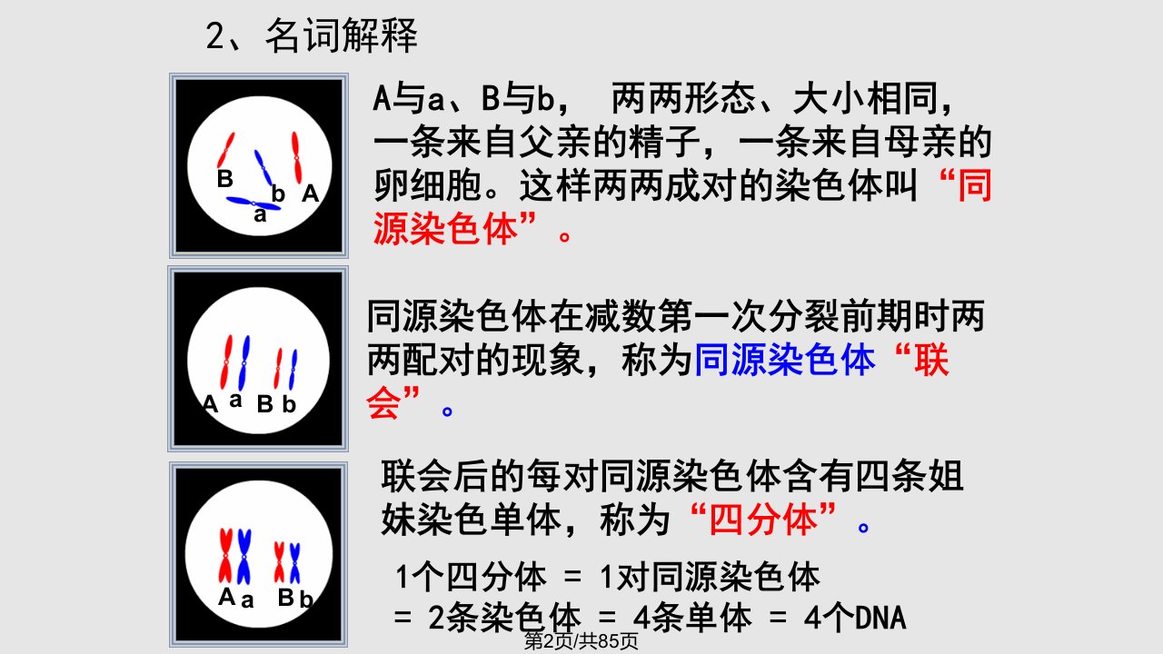 必修二学考复习