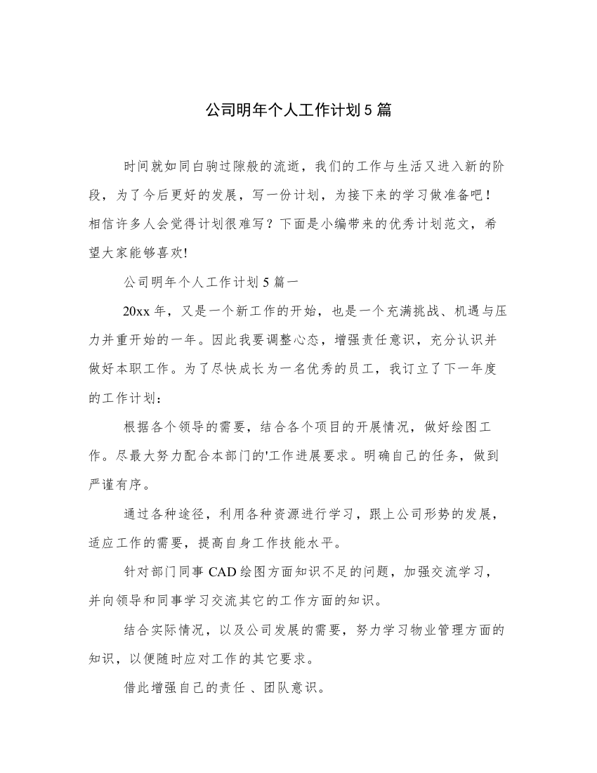 公司明年个人工作计划5篇