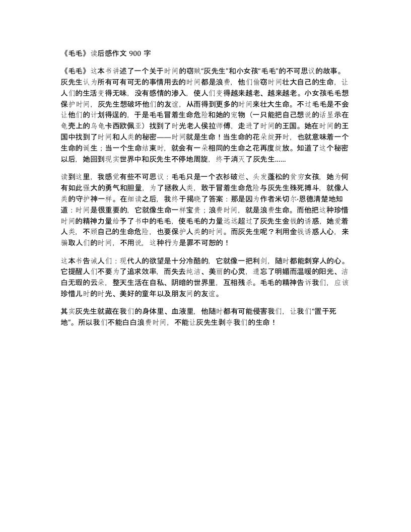 毛毛读后感作文900字