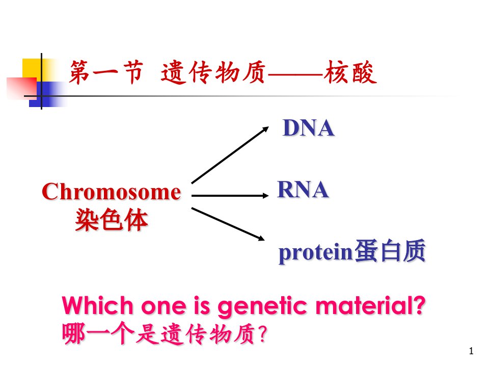 第二章遗传的物质基础